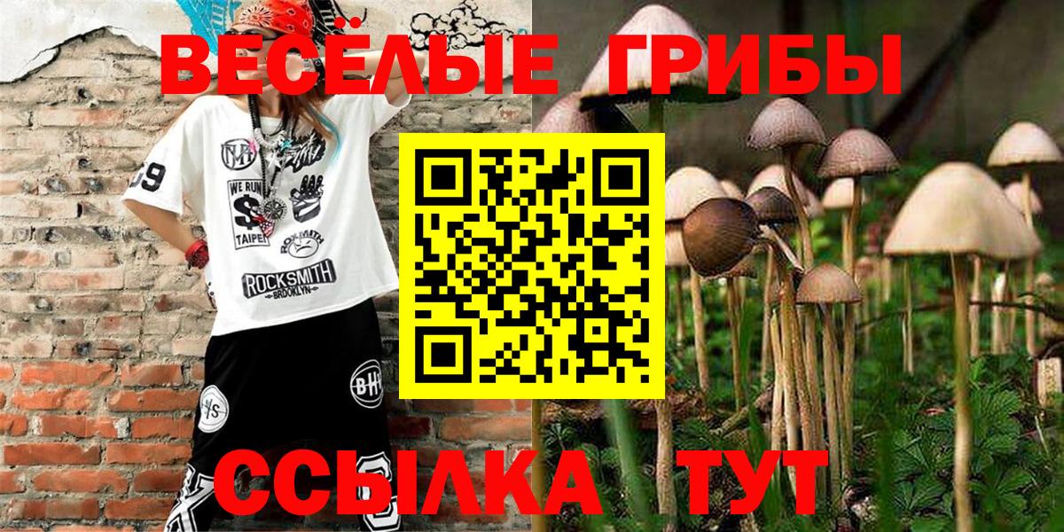 Самара  Псилоцибиновые грибы прущие грибы  Псилоцибиновые грибы GOLDEN TEACHER  Вход с VPN 