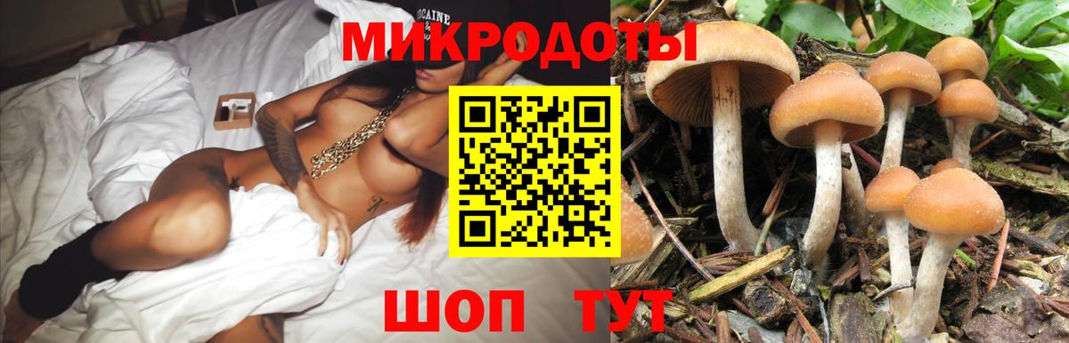 Псилоцибиновые грибы Psilocybe Самара